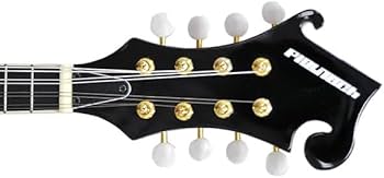 Amazon | PLAYTECH (プレイテック) Fスタイルフラットマンドリン